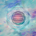 Antiloops — Lucid Dream